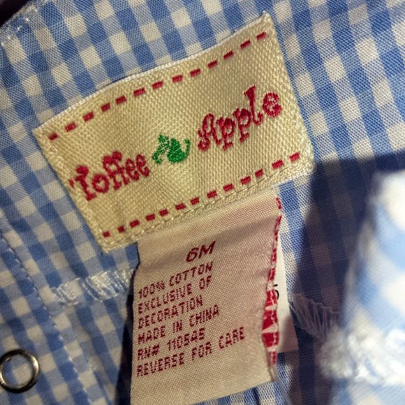 NWT! 1st Easter Gnghm Romper, SO PRETTY, 6m - Picture 10 of 10